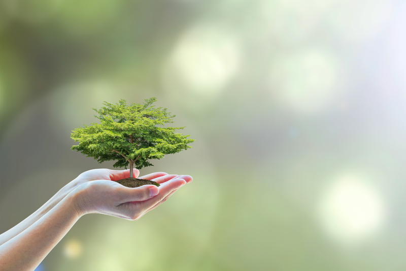 From Box to Bin: Enhancing Your Packaging and Cardboard Disposal Habits